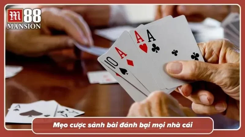 Kỹ năng tích lũy lâu dài luôn đáng giá hơn một lần gặp may