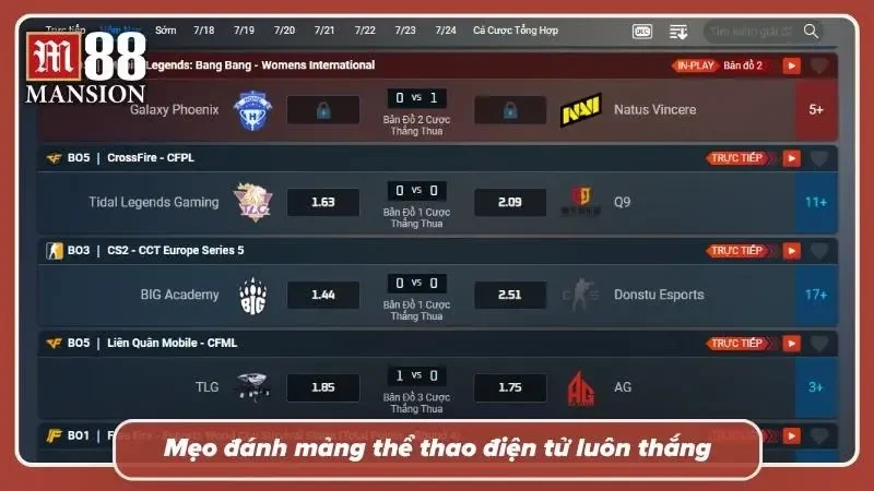 Cao thủ kiếm lợi nhuận nhờ kỷ luật chứ không chỉ nhờ may mắn