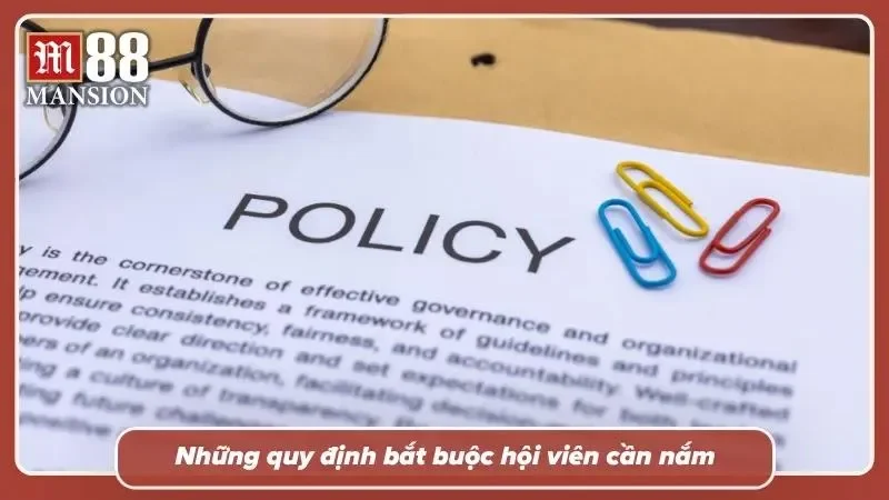Hiểu luật từ đầu sẽ giúp tránh những rủi ro phát sinh về sau