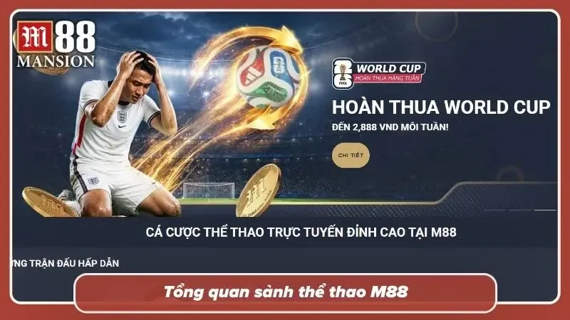 Tìm hiểu chi tiết về thể thao M88